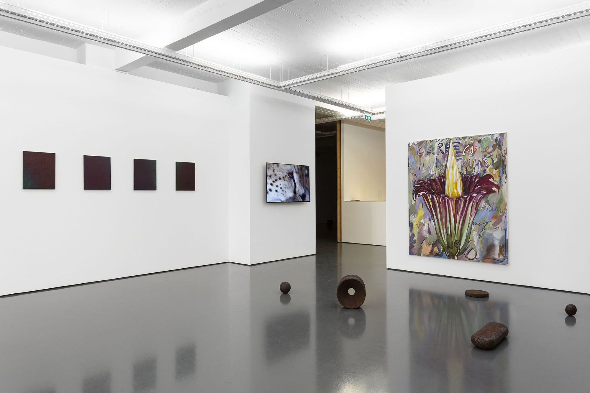 Dip me in the river, drop me in the water!, Exhibition View, Galeria Pedro Cera, Lisbon, 2021 📸 Bruno Lopes